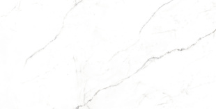 Керамогранит Ceraland Magical Statuario (60х120) глянец